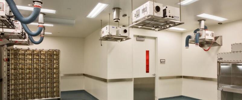 胰腺癌類器官模型的構(gòu)建與應用